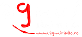 Agnus Rádió -Cluj Napoca 88,3 FM