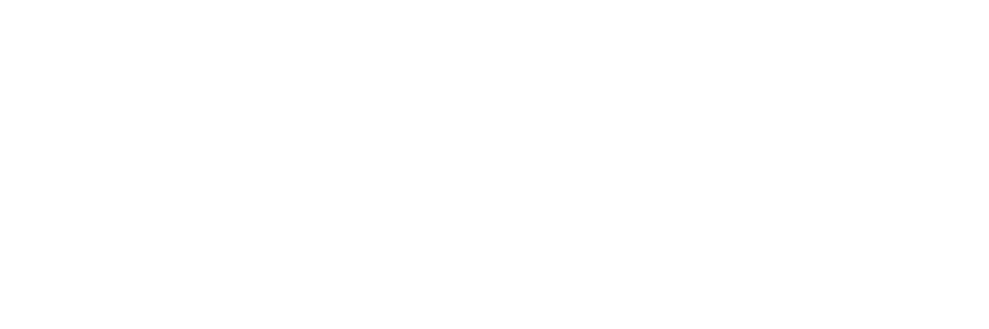 LM Radio