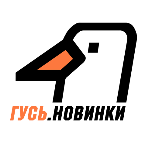 РАДИО ГУСЬ